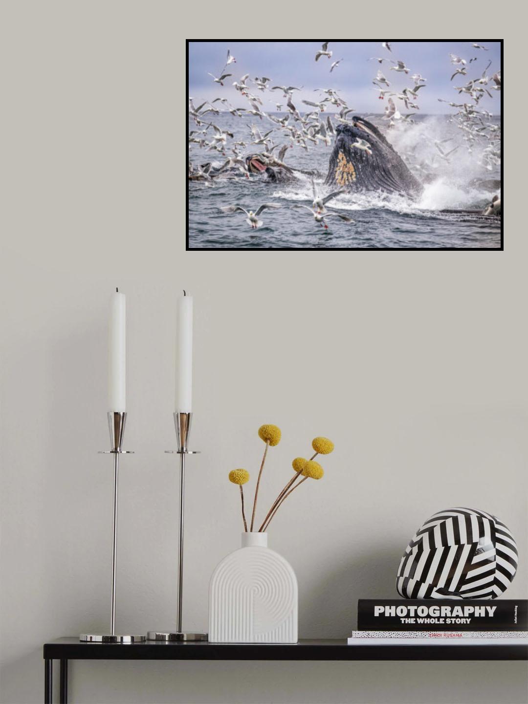 The Feeding Frenzy Part 2 Poster och Canvastavla