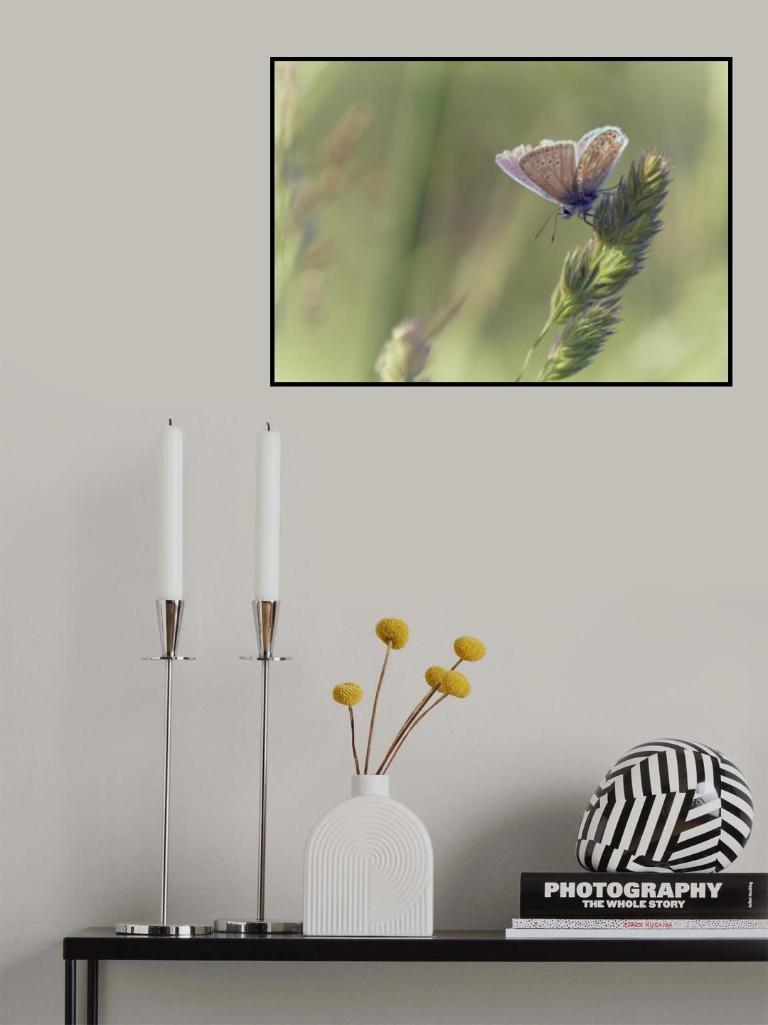 Blue in wild meadow Poster och Canvastavla