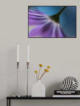 Bright marguerites Poster och Canvastavla