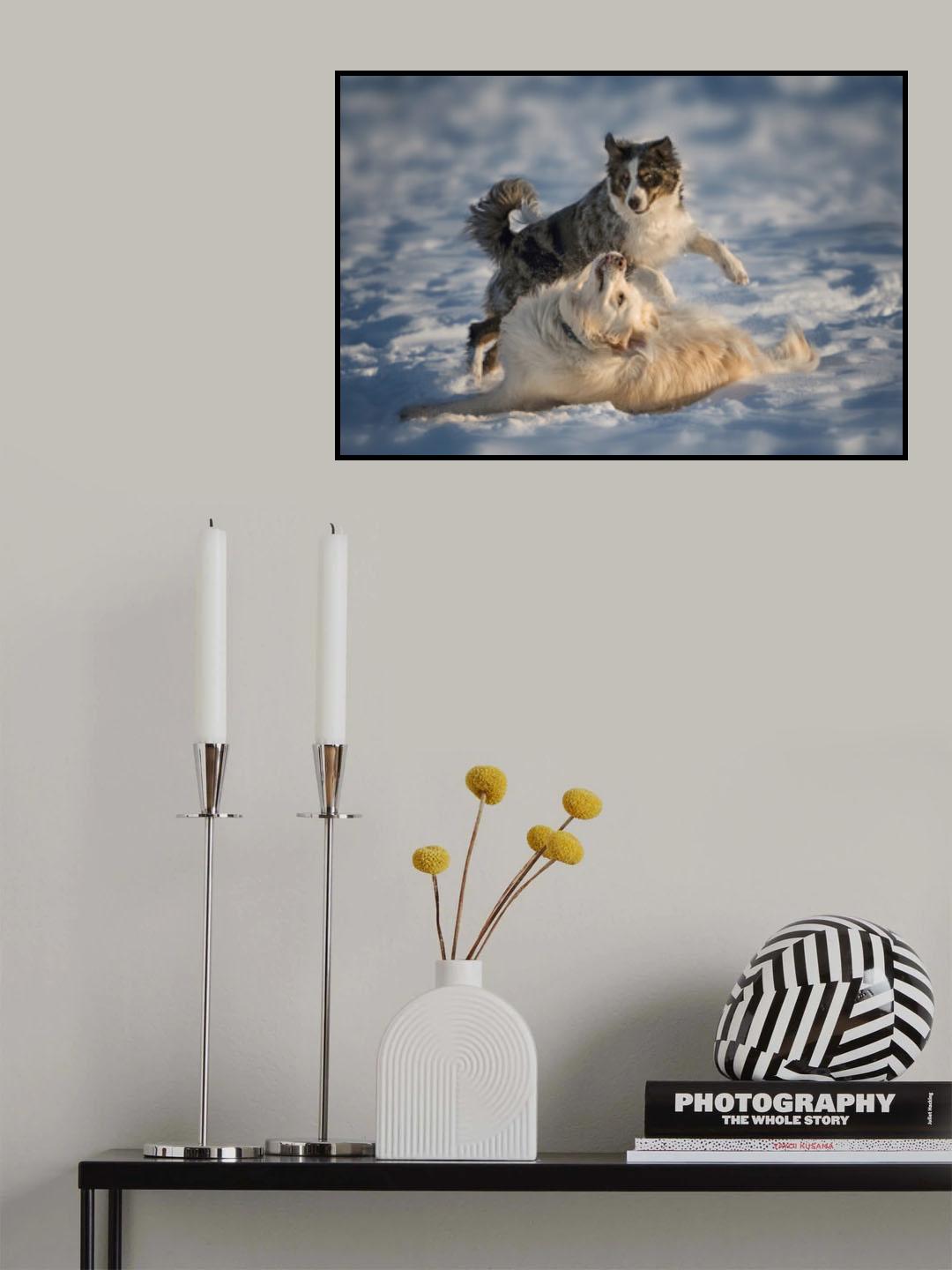 Snow Fun Poster och Canvastavla
