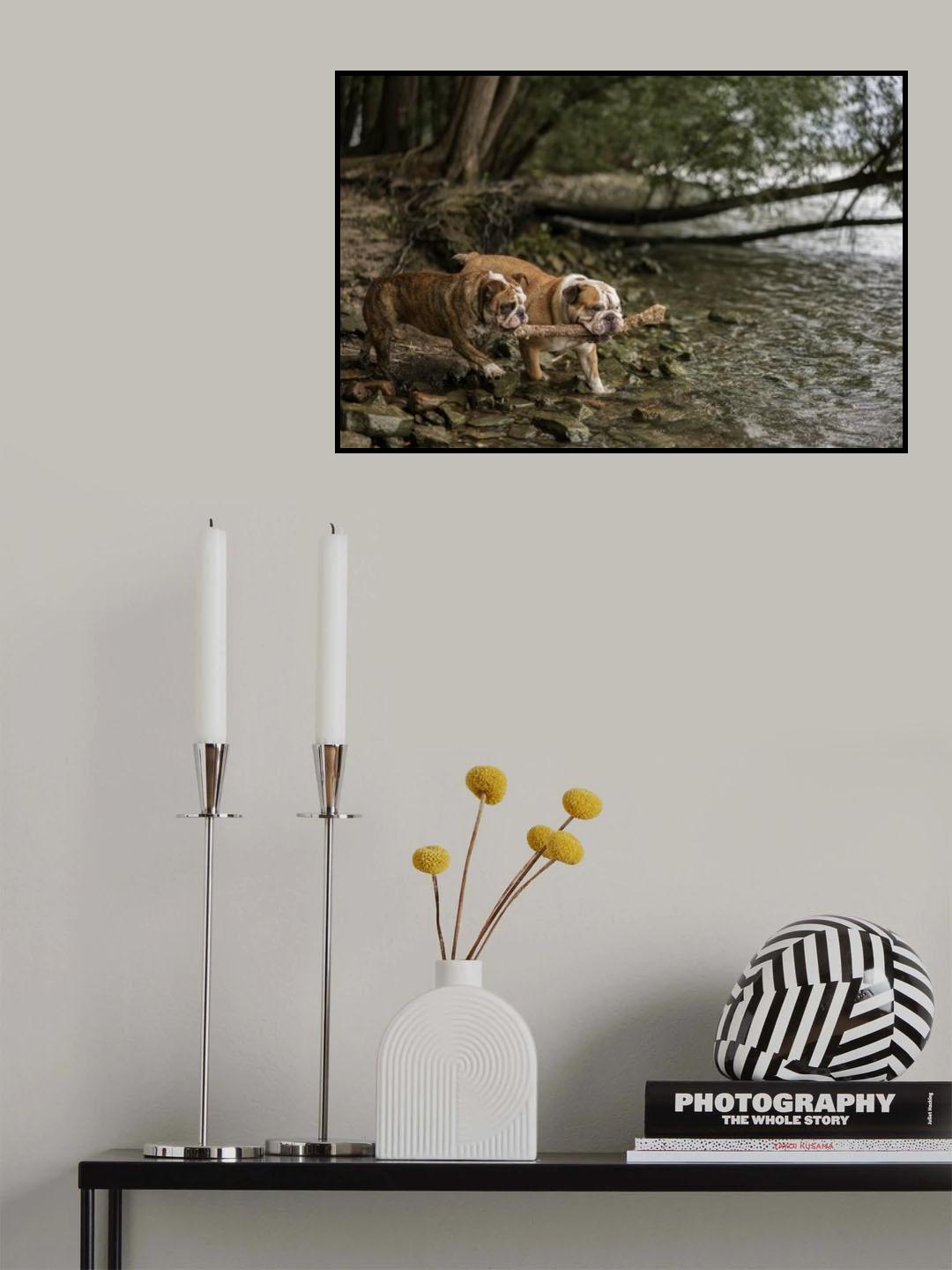 Crossing the stream Poster och Canvastavla