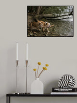 Crossing the stream Poster och Canvastavla