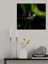 Symphony for an aurora borealis... Poster och Canvastavla