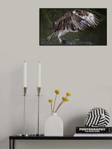 Bringing it home Poster och Canvastavla