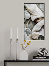 Sea Shells Detail No 3 Poster och Canvastavla