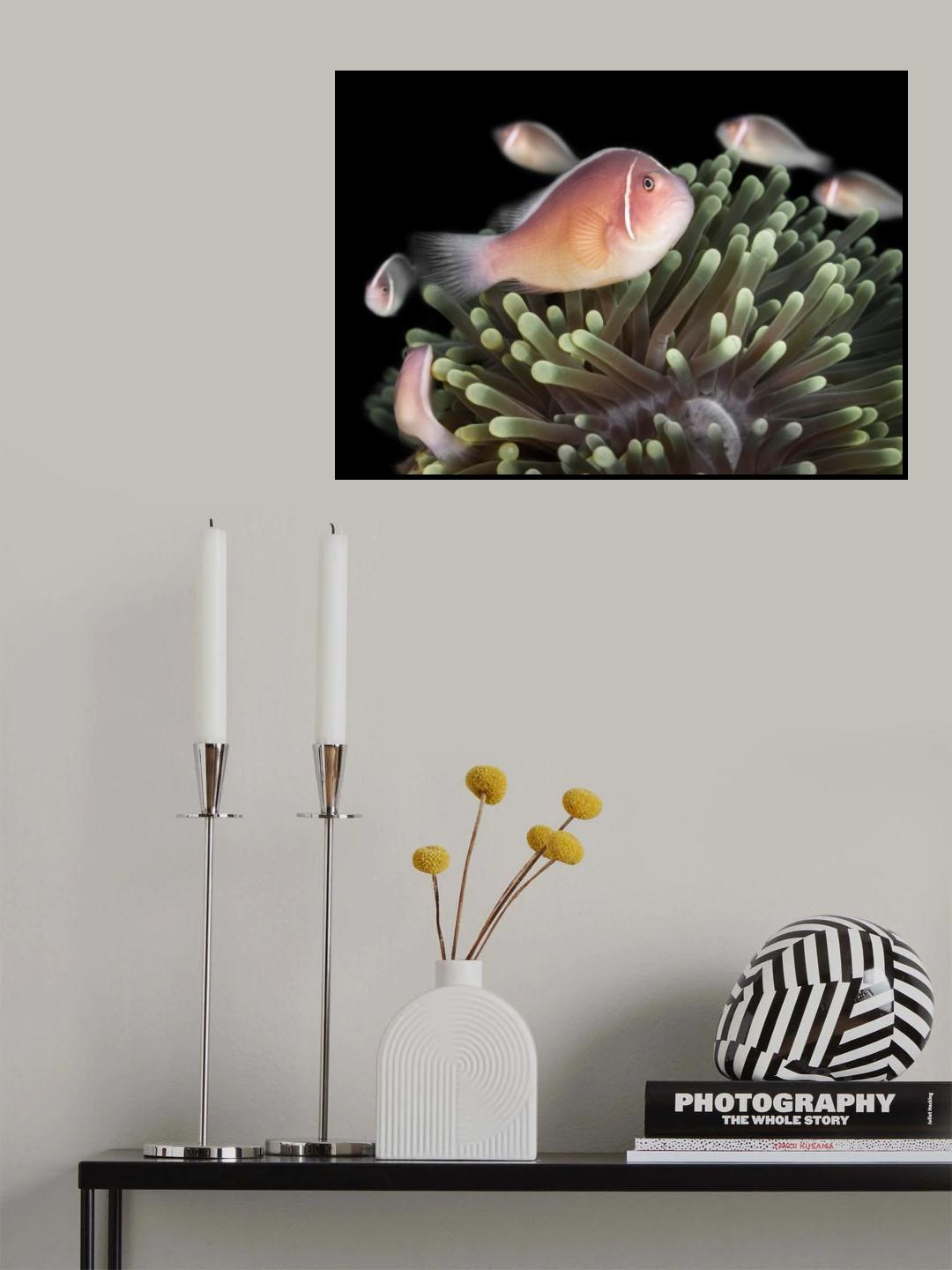 Ring Around The Rosie Poster och Canvastavla