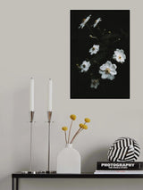 White Flowers Poster och Canvastavla