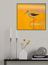The magic of sunrise Poster och Canvastavla