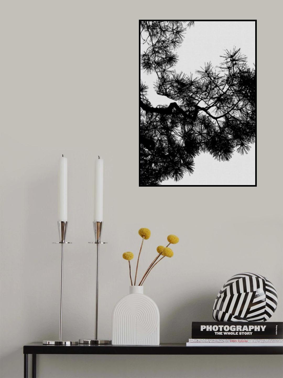 Pine Tree Black & White Poster och Canvastavla