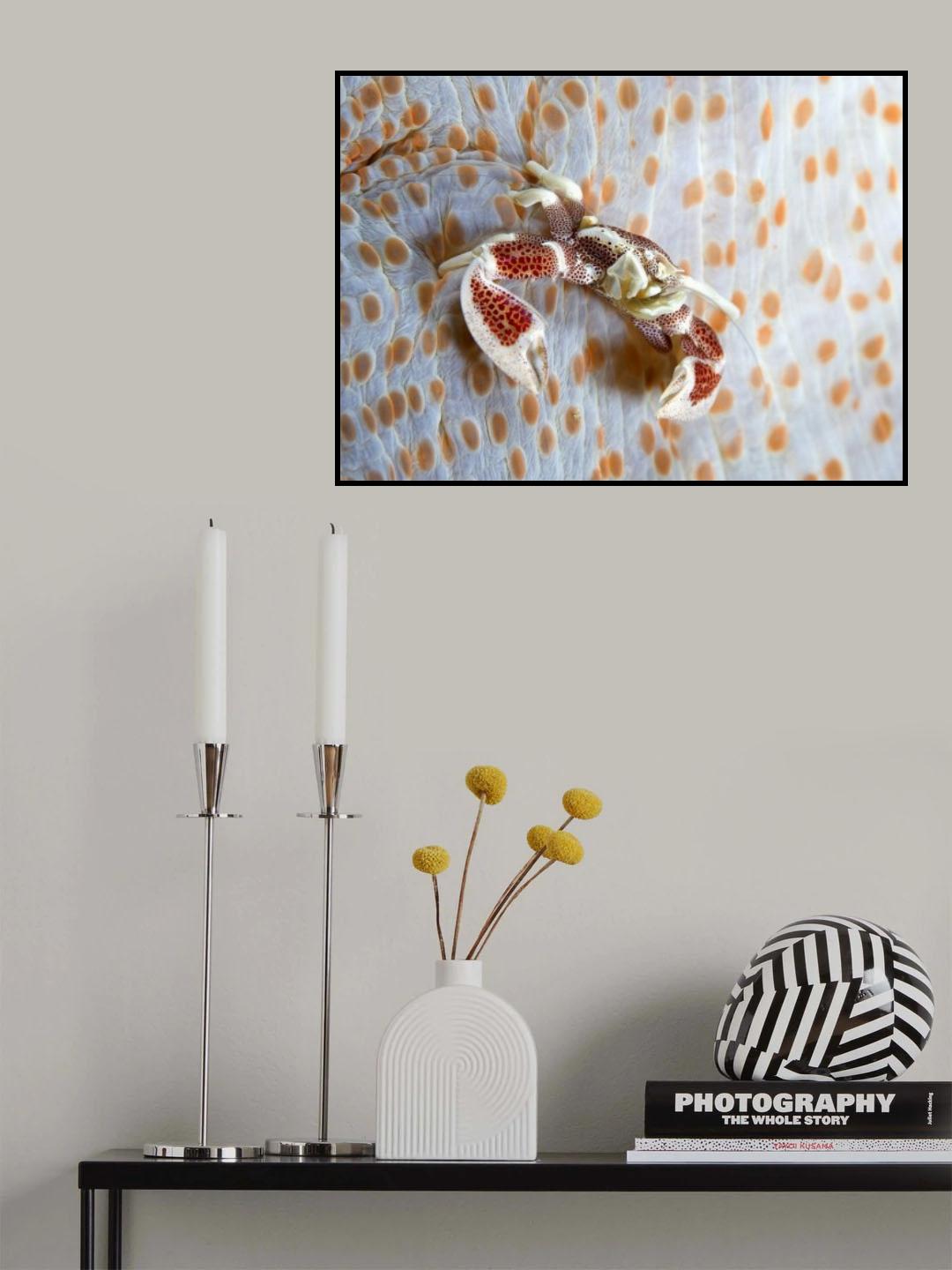 chickenpox Poster och Canvastavla