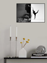 liberation Poster och Canvastavla