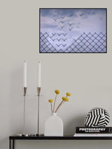 Don´t fence me in! Poster och Canvastavla
