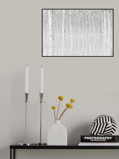 Trees Poster och Canvastavla