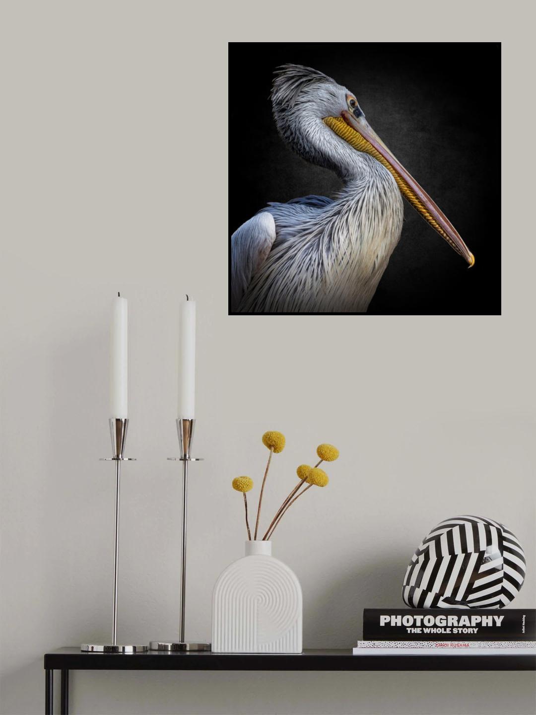 Animal Life IV Poster och Canvastavla