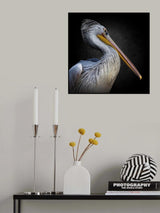 Animal Life IV Poster och Canvastavla