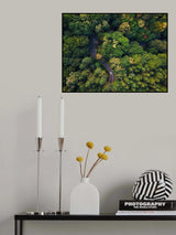 Poster och Canvastavla