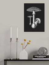 Amanita Muscaria Dark Background BW Poster och Canvastavla