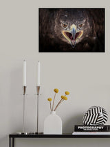 Steppe Eagle Poster och Canvastavla