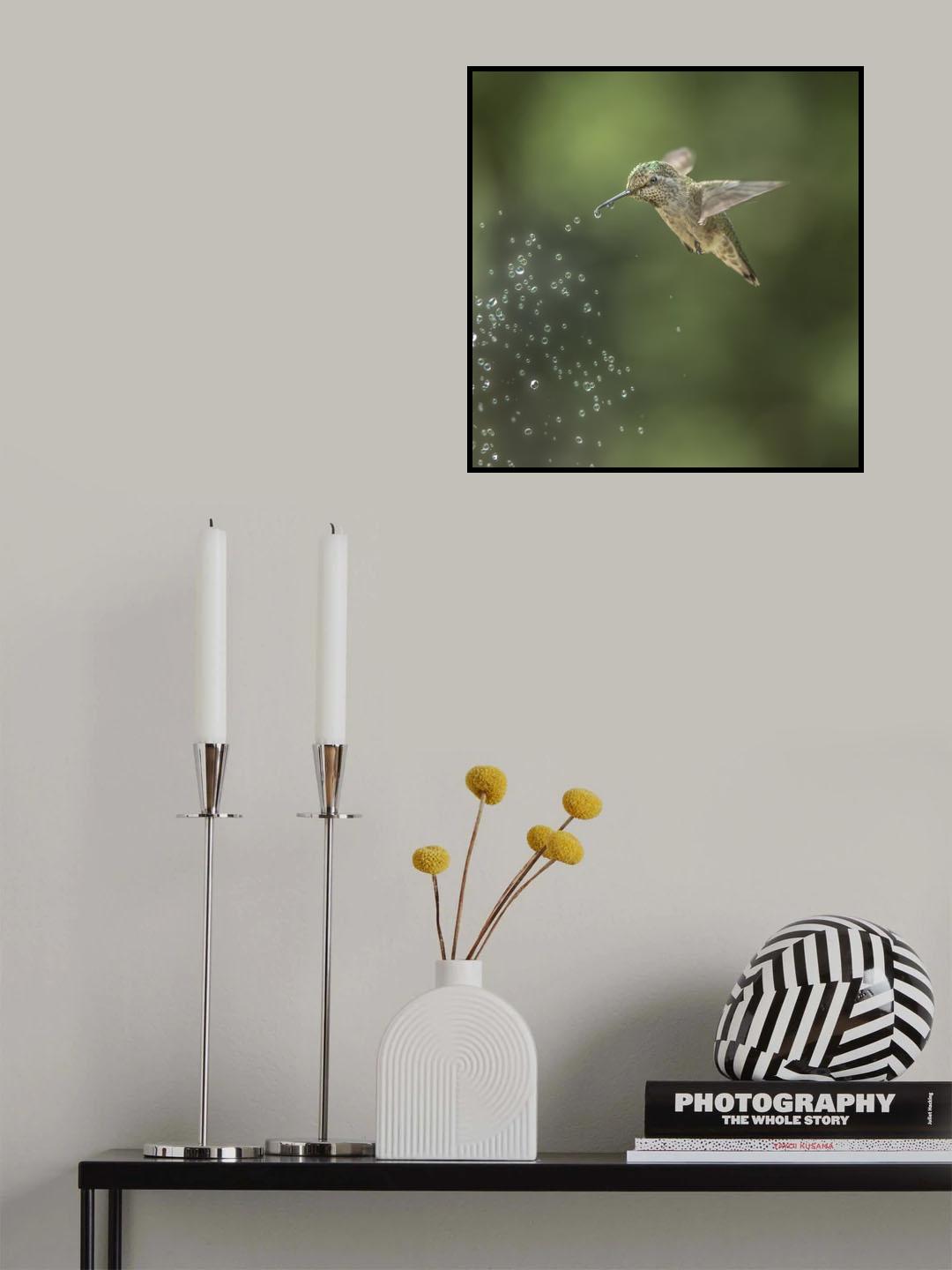 play the water fountain Poster och Canvastavla