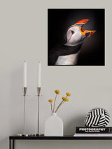 The Scream Poster och Canvastavla