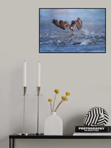 Aiming One Poster och Canvastavla