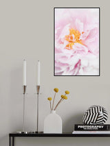 Peony_7 Poster och Canvastavla