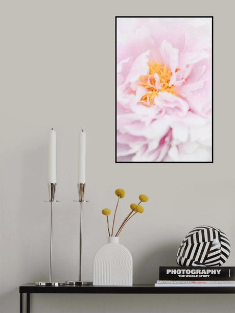 Peony_7 Poster och Canvastavla