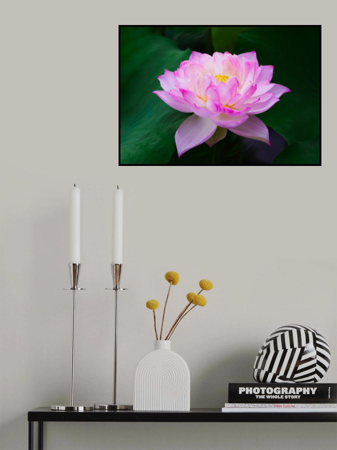 Pure Poster och Canvastavla