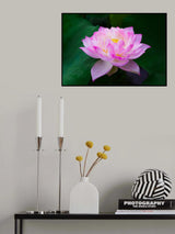 Pure Poster och Canvastavla