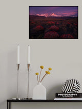 Spring in Torres del Paine Poster och Canvastavla