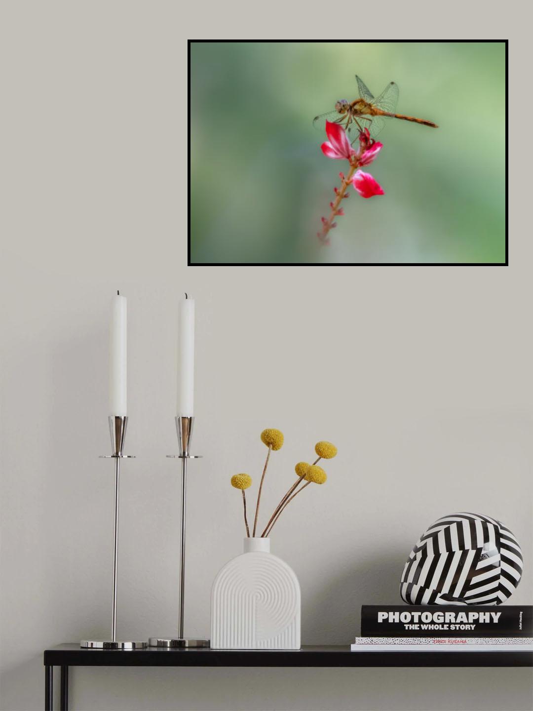 Resting Poster och Canvastavla