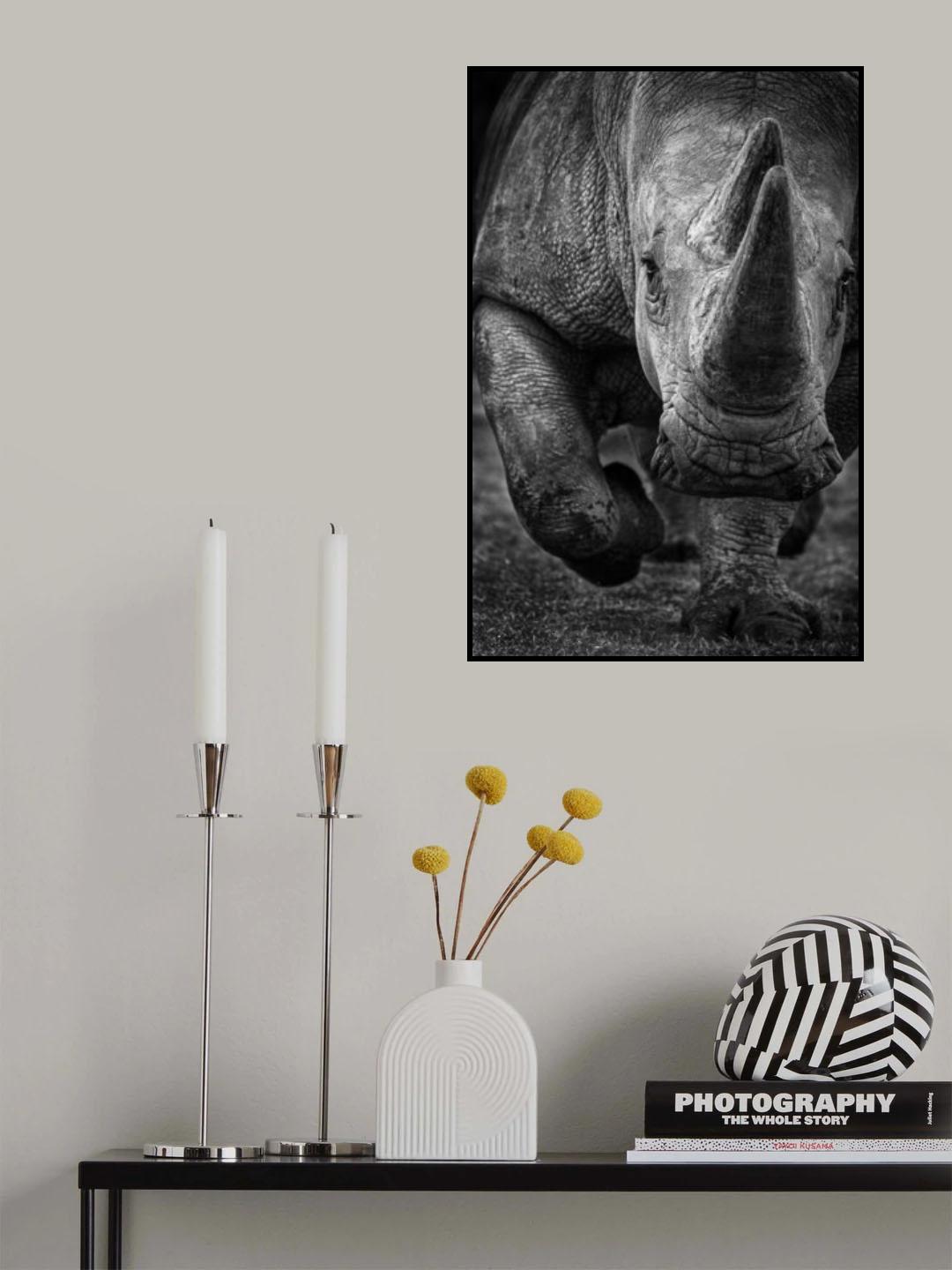 White Rhino on the run! Poster och Canvastavla
