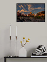 Needles in the Light Poster och Canvastavla