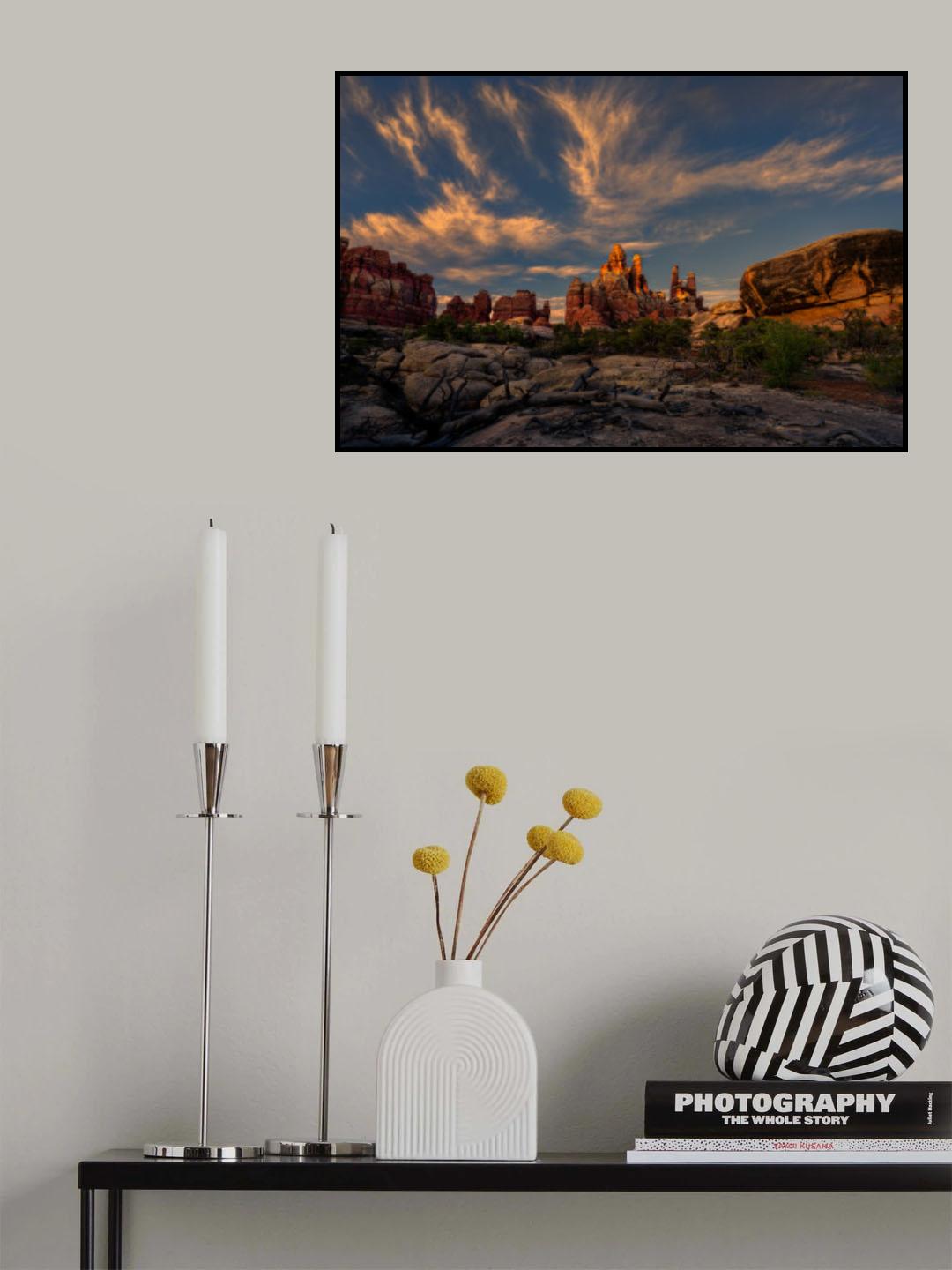 Needles in the Light Poster och Canvastavla