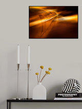 Fly away Poster och Canvastavla