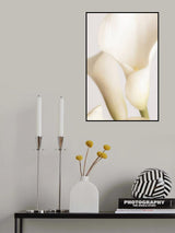 White Calla Lily No 2 Poster och Canvastavla