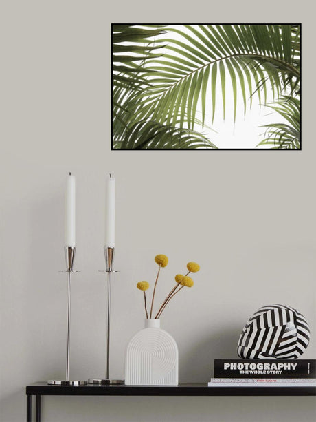 Palm Leaves Foliage Photo 01 Poster och Canvastavla