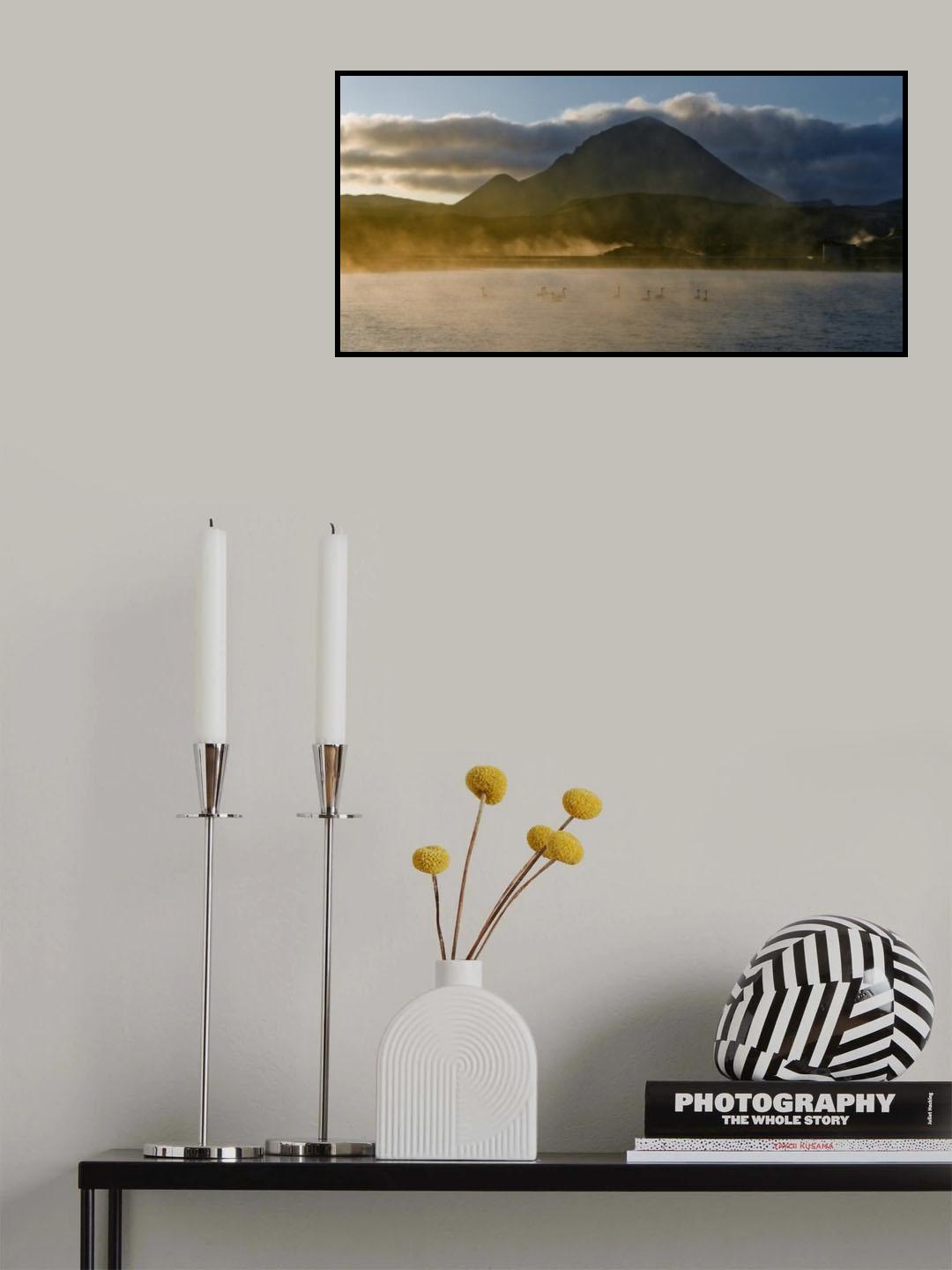 Swan lake Poster och Canvastavla