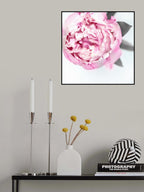 Pink peony III Poster och Canvastavla