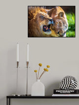 Romance is in the air Poster och Canvastavla