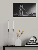 The career ladder 2 Poster och Canvastavla