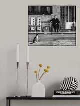 Grandmother and Cat Poster och Canvastavla