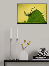 Eating out together. Poster och Canvastavla
