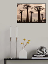 Madagascar Poster och Canvastavla