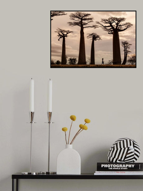 Madagascar Poster och Canvastavla