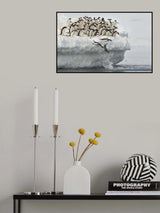 Penguins jumping Poster och Canvastavla