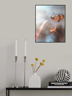 The Butterfly Poster och Canvastavla