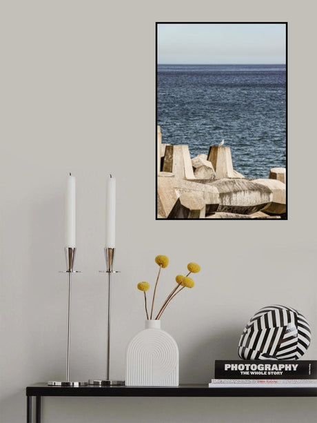 Sea Bird Poster och Canvastavla