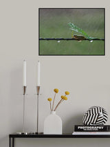 November rain Poster och Canvastavla