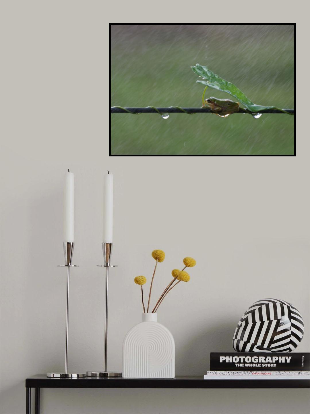 November rain Poster och Canvastavla